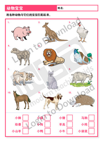 Lesson Zone AU - Animal Babies (Level 2) Lesson Zone AU - Animal Babies (Level 2)