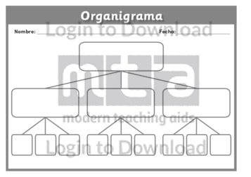100527S03_OrganizadorgráficoOrganigrama01