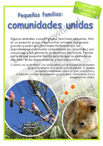 102406S03_TodosobrelasfamiliasdeanimalesPequeñasfamiliasComunidadesunidas01