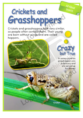 Crickets and Grasshoppers