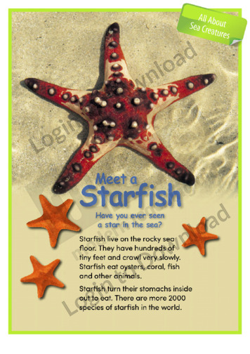 Meet a Starfish