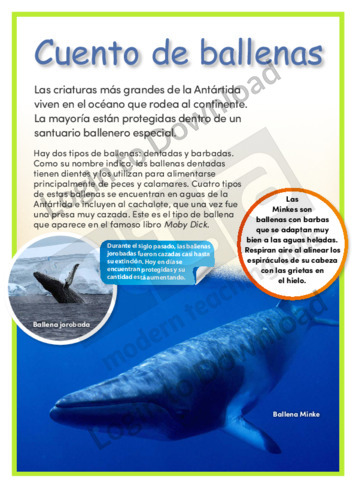 Lesson Zone AU - Whale Tales