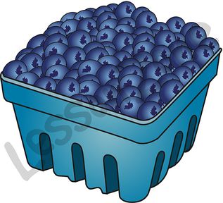 Carton of blueberries