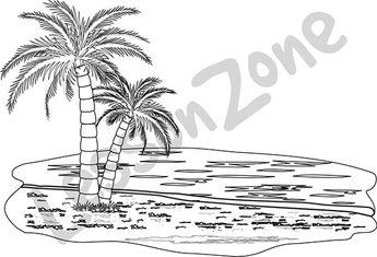 Palm tree on beach B&W