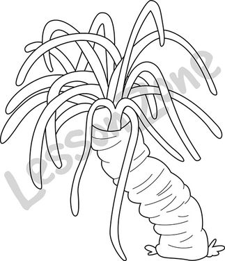 1,200+ Drawing Of A Sea Anemone Stock Illustrations, Royalty-Free Vector  Graphics & Clip Art - iStock