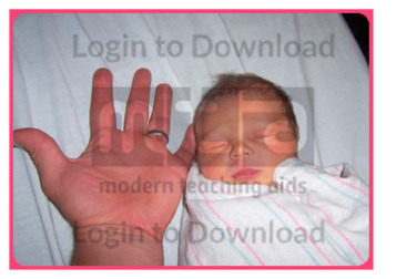 105373C02_口语图片活动婴儿和爸爸的手01
