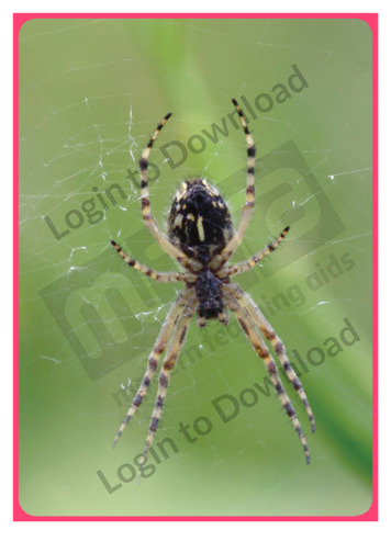 105406C02_口语图片活动网中的蜘蛛01