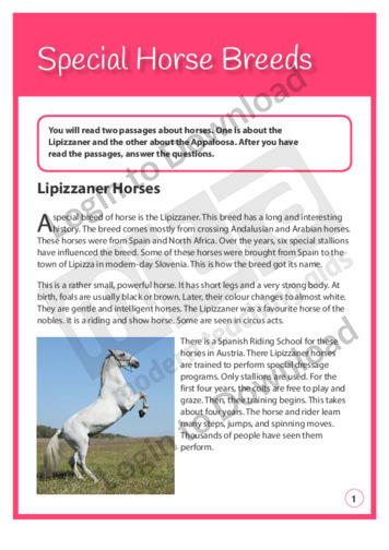 Special Horse Breeds