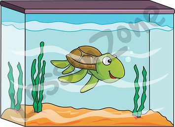 Turtle in tank