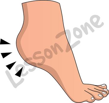 Foot with heel