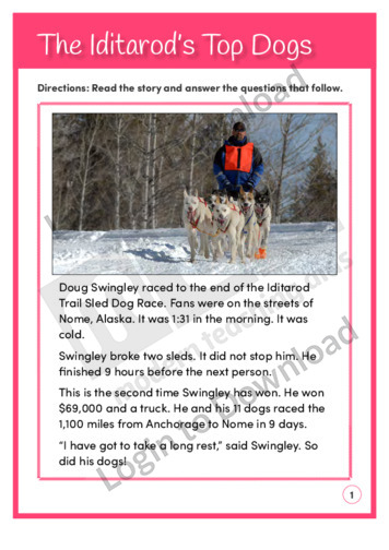 The Iditarod’s Top Dogs