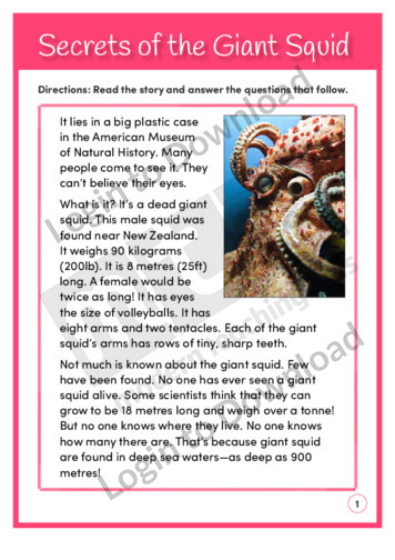 Secrets of the Giant Squid (Level 4)
