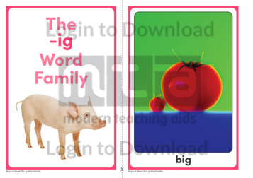 The -ig Word Family