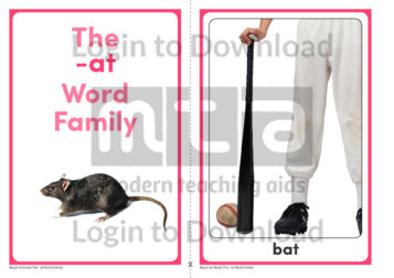 The -at Word Family
