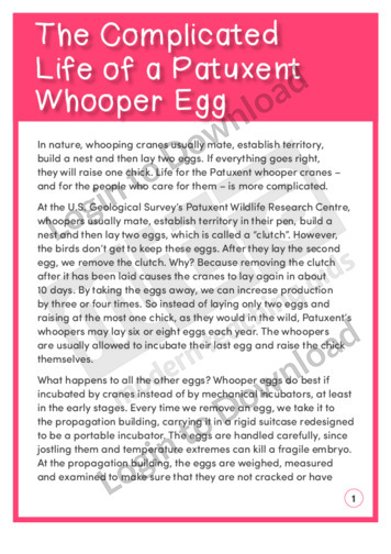 The Complicated Life of a Patuxent Whooper Egg