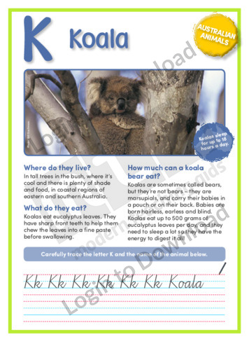 K: Koala