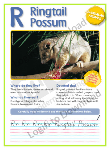 R: Ringtail Possum