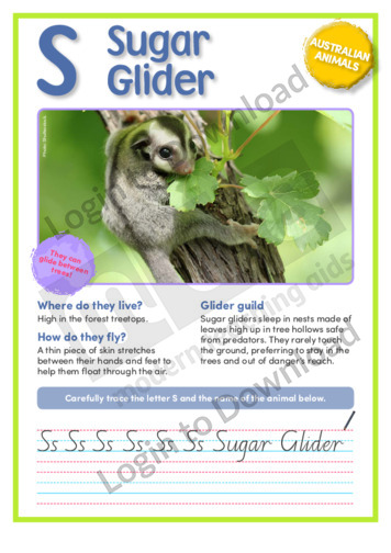 S: Sugar Glider