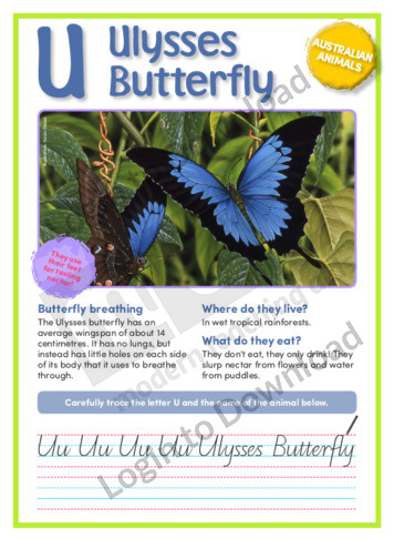 U: Ulysses Butterfly