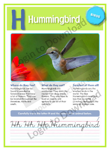 H: Hummingbird