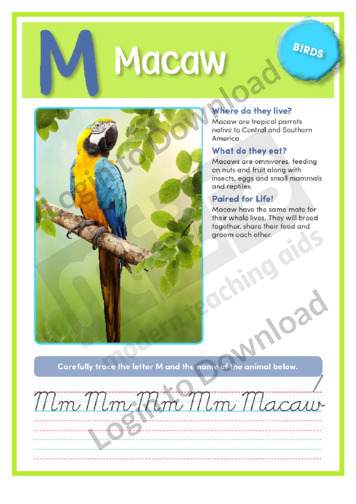 M: Macaw