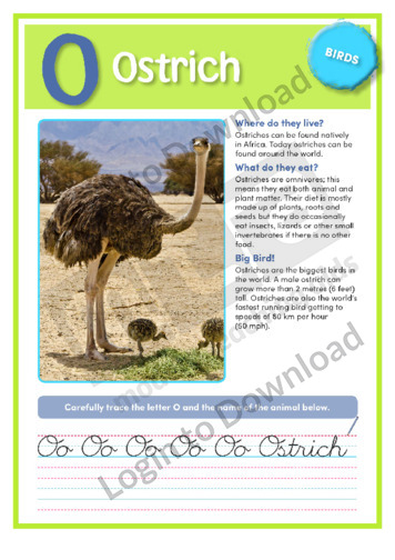 O: Ostrich