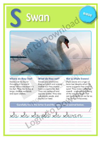 S: Swan