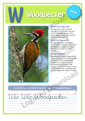 W: Woodpecker
