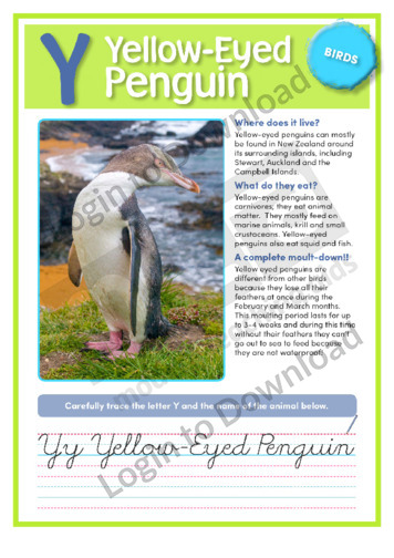 Y: Yellow-Eyed Penguin