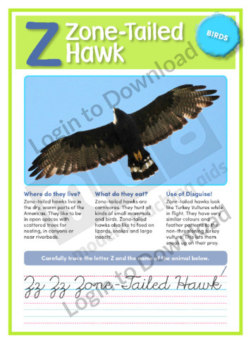 Z: Zone-Tailed Hawk