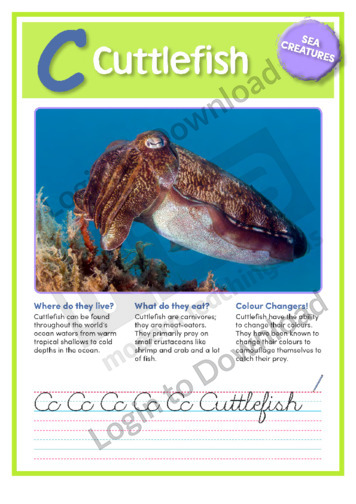 C: Cuttlefish
