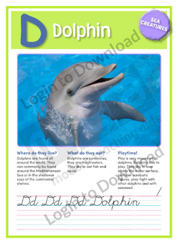 D: Dolphin