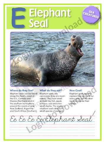 E: Elephant Seal