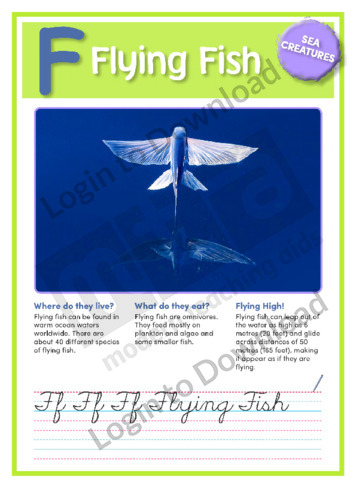 F: Flying Fish