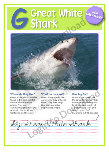 G: Great White Shark