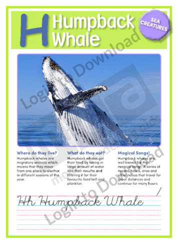 H: Humpback Whale