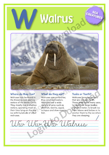 W: Walrus