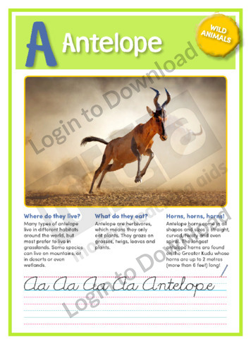 A: Antelope
