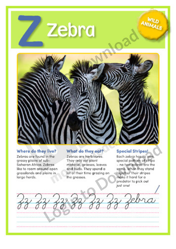 Z: Zebra