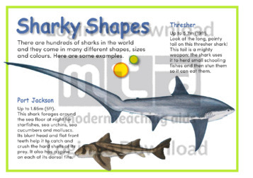 Sharky Shapes