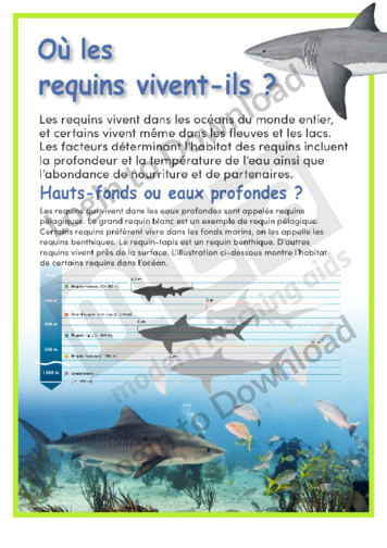 110994F01_Oùviventlesrequins01