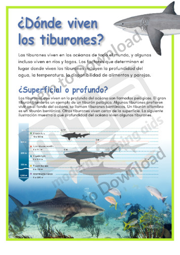 110994S03_Dóndevivenlostiburones01