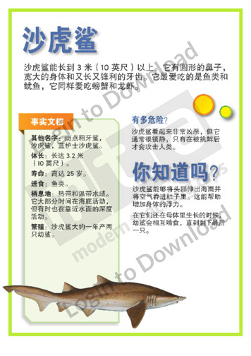 110996C02_沙虎鲨01