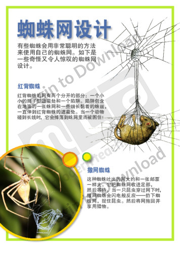 111008C02_蜘蛛蜘蛛网设计01