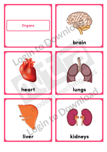 Organs (Portrait 6/page)