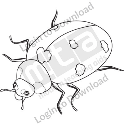 Adult ladybug B&W