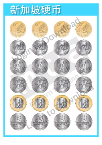 111638C02_货币新加坡硬币01