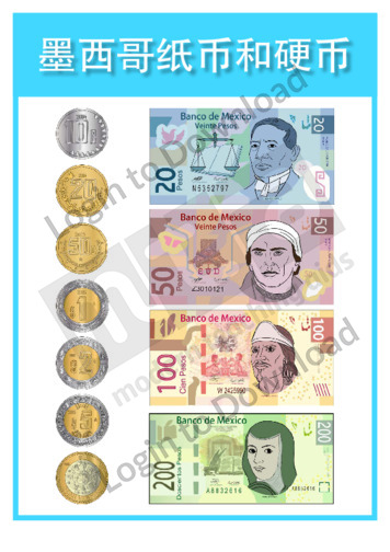 111648C02_货币墨西哥纸币和硬币01