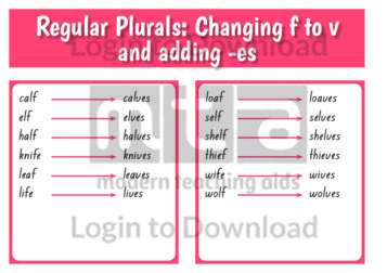 Regular Plurals: Changing f to v and adding -es