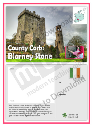County Cork: Blarney Stone